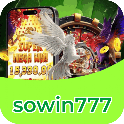 Interface sowin777